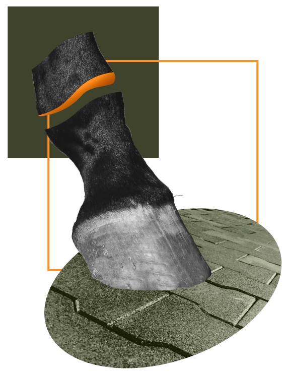 Pisos para equinos y ganado